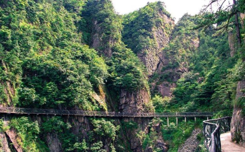 捷途旅行者银龙之翼上市，首发限量 3000 辆